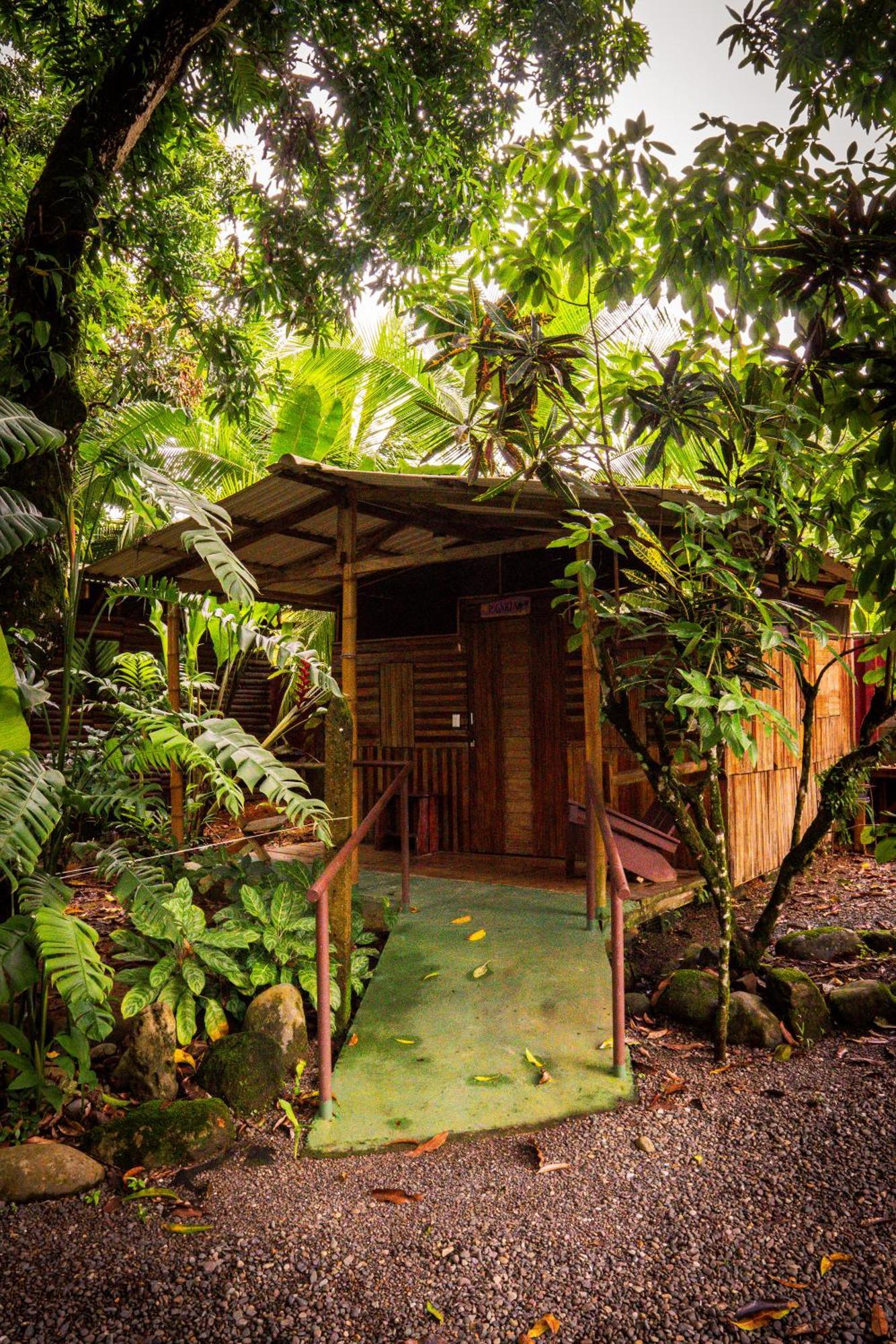 Albergue Flutterby House Uvita Exterior foto