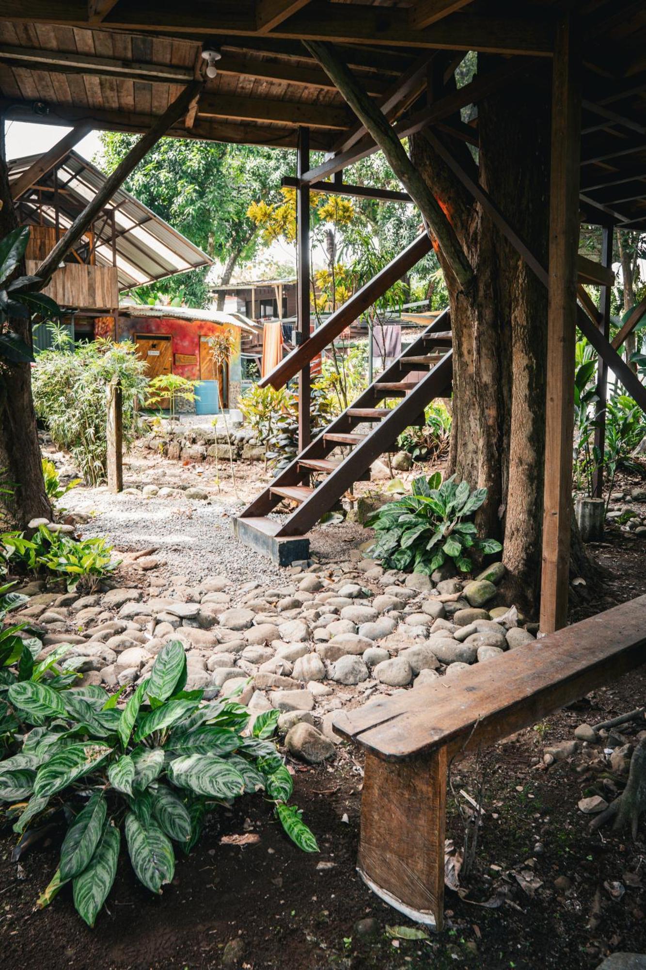 Albergue Flutterby House Uvita Exterior foto