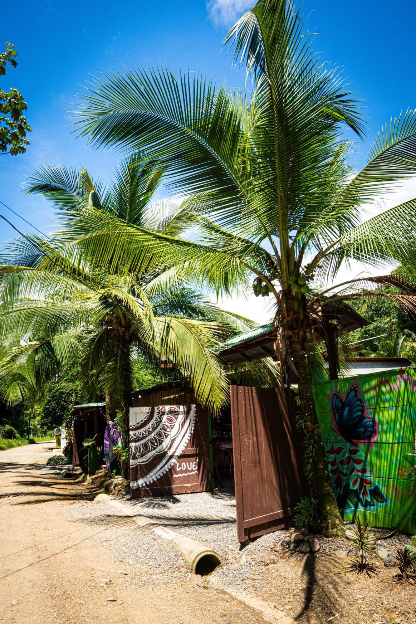 Albergue Flutterby House Uvita Exterior foto
