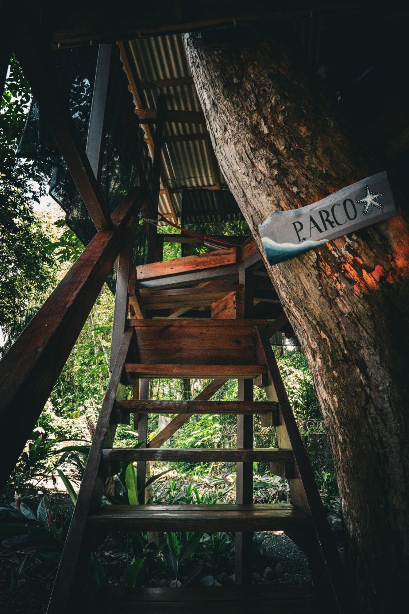 Albergue Flutterby House Uvita Exterior foto