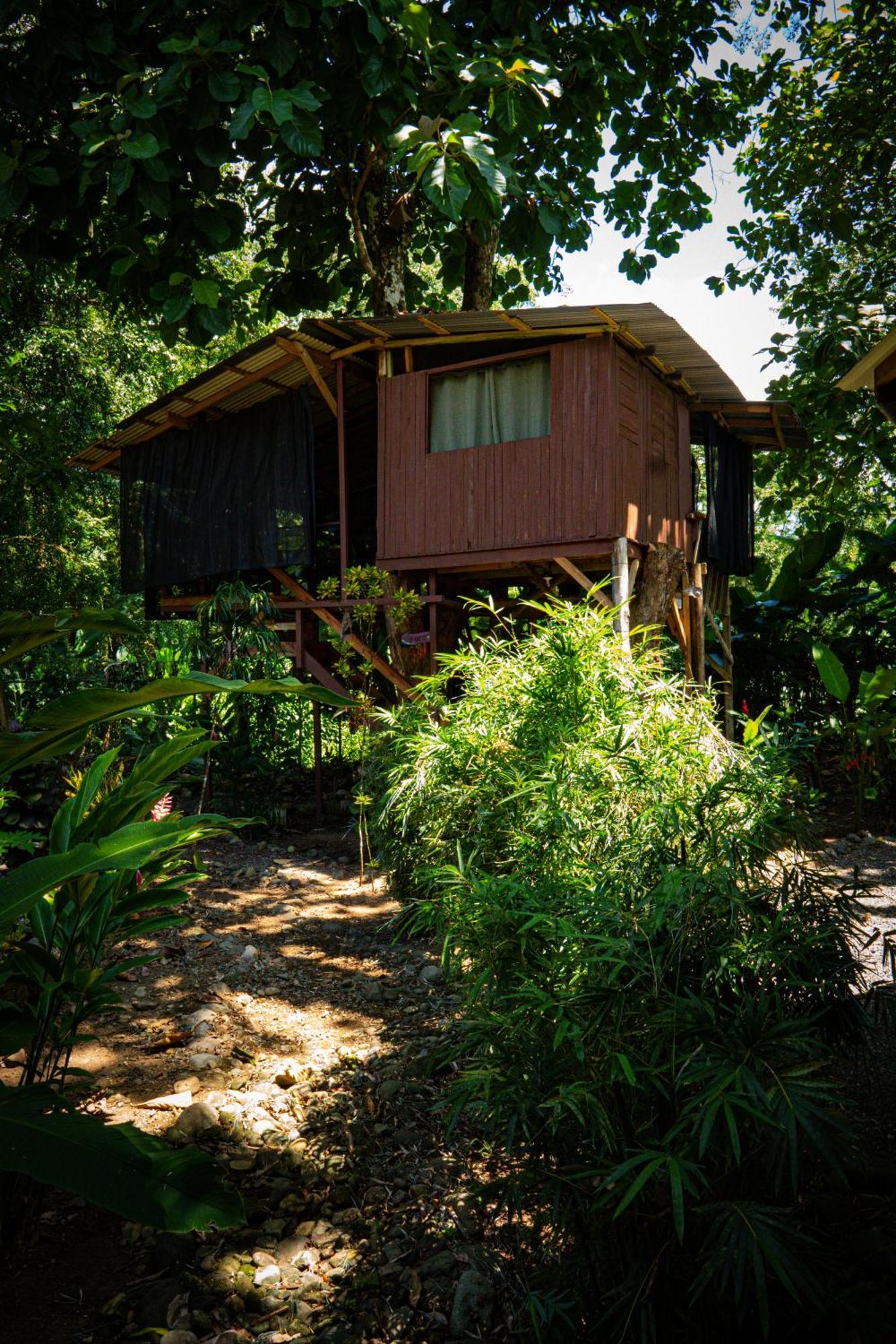 Albergue Flutterby House Uvita Exterior foto