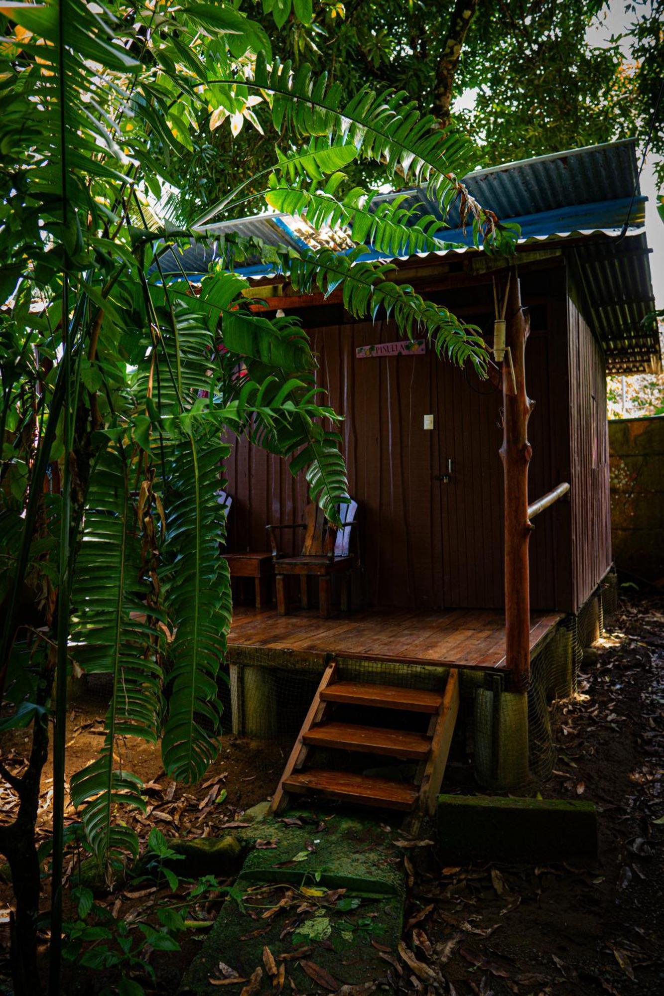 Albergue Flutterby House Uvita Exterior foto