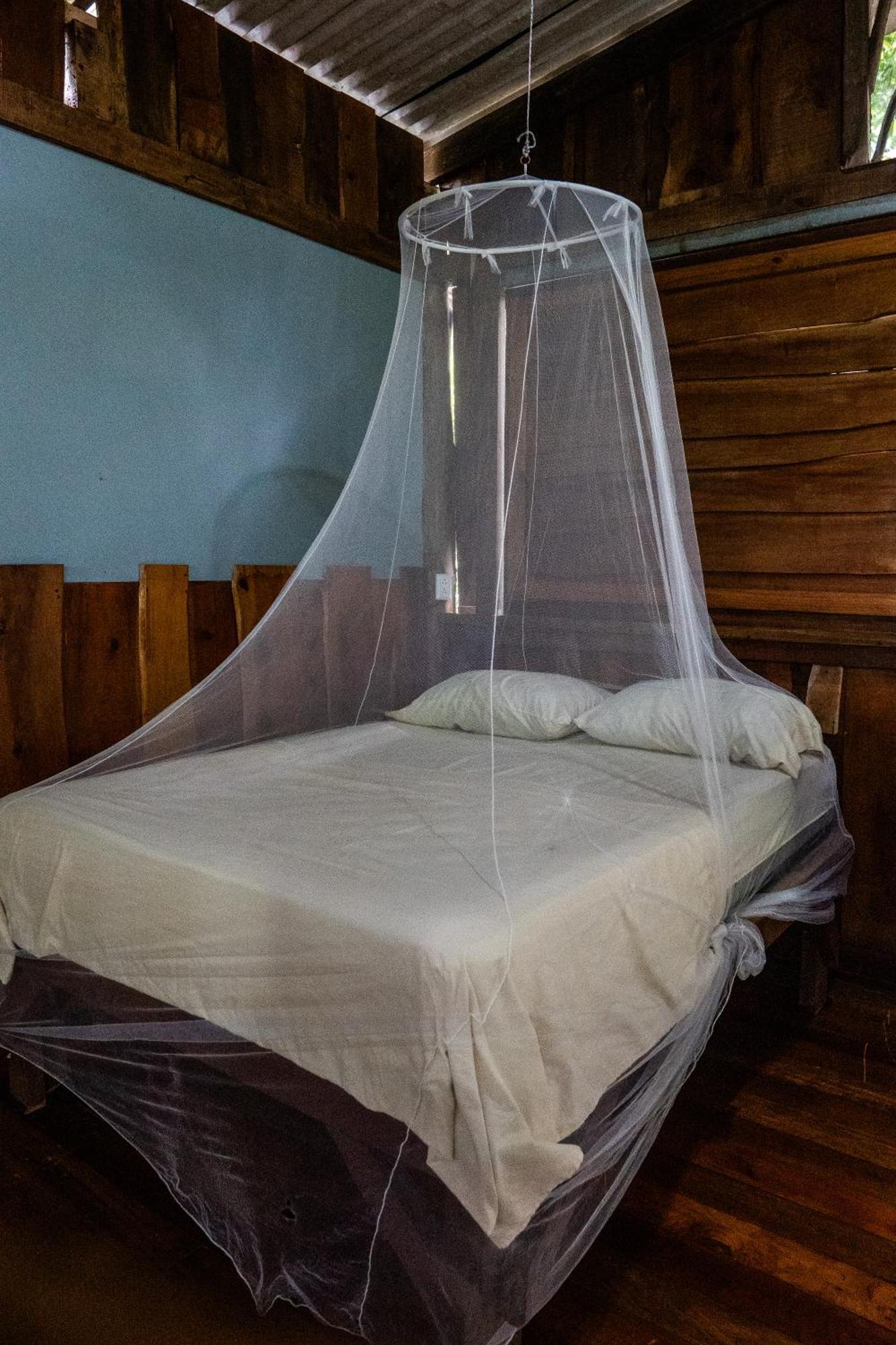 Albergue Flutterby House Uvita Exterior foto