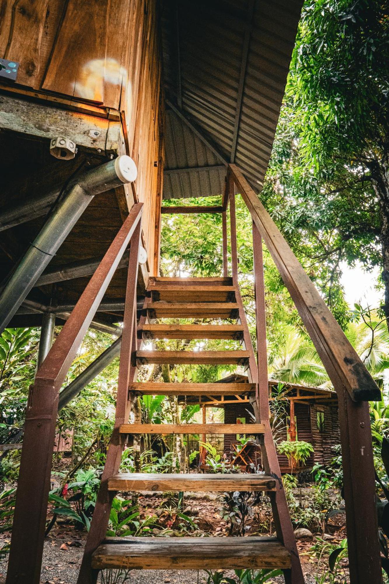 Albergue Flutterby House Uvita Exterior foto