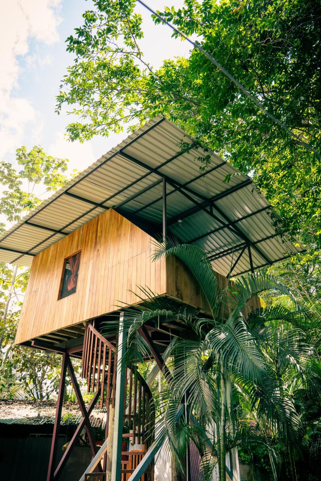 Albergue Flutterby House Uvita Exterior foto